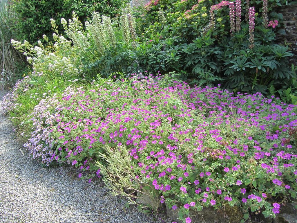 La Robiniere Bed and Breakfast Cerisy-la-Salle Buitenkant foto